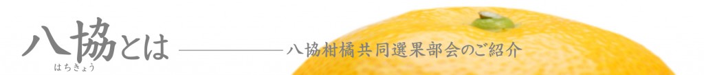 banner_hachikyotoha
